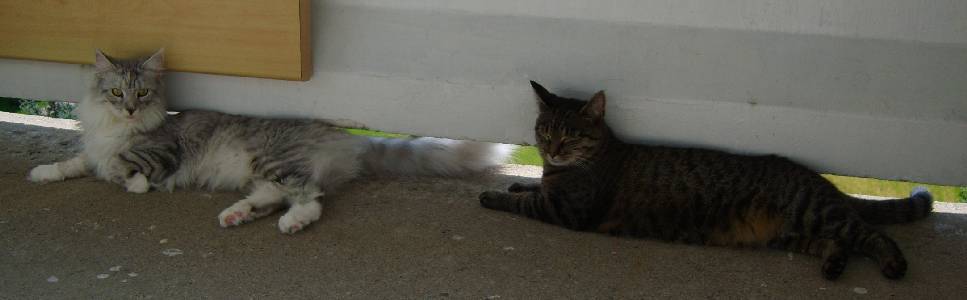 Emilia mit einem Jahr und Lilly / one year old and Lilly