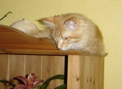 Egbert mit fünf Monaten / five months old