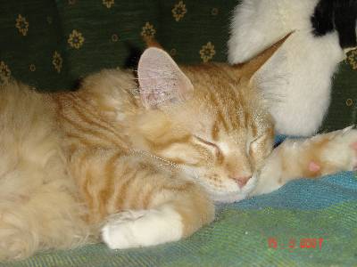 Egbert mit sieben Monaten / seven months old