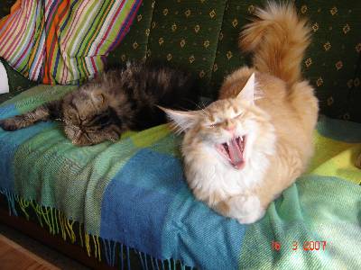 Egbert mit sieben Monaten / seven months old