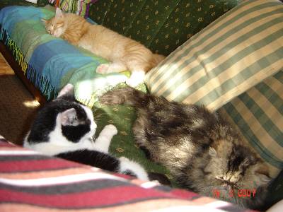 Egbert mit sieben Monaten / seven months old