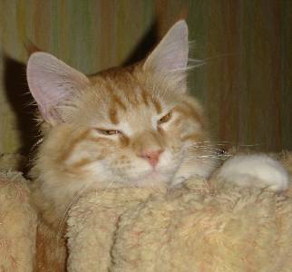 Egbert mit sieben Monaten / seven months old