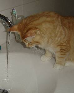 Egbert mit sieben Monaten / seven months old