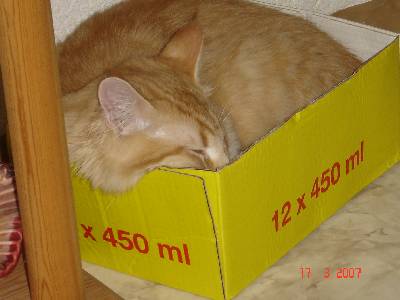 Egbert mit sieben Monaten / seven months old