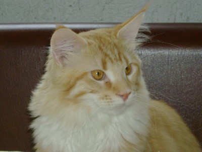 Egbert mit sieben Monaten / seven months old