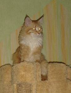 Egbert mit sieben Monaten / seven months old