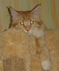 Egbert mit sieben Monaten / seven months old