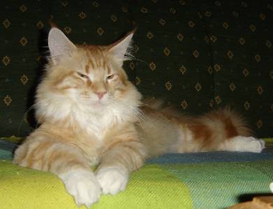 Egbert mit sieben Monaten / seven months old