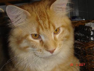 Egbert mit sieben Monaten / seven months old