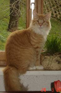 Egbert mit sieben Monaten / seven months old