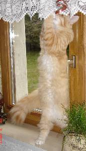 Egbert mit sieben Monaten / seven months old