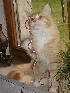 Egbert mit sieben Monaten / seven months old