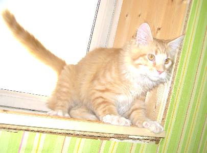 Egbert mit fünf Monaten / five months old