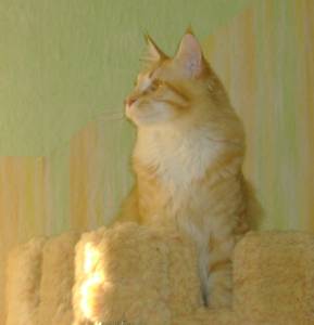 Egbert mit sieben Monaten / seven months old