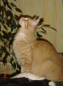 Egbert mit fünf Monaten / five months old