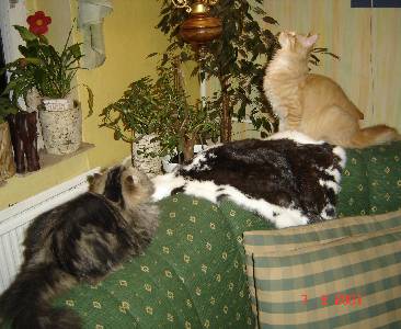 Egbert mit fünf Monaten / five months old