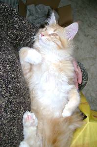 Egbert mit sieben Monaten / seven months old