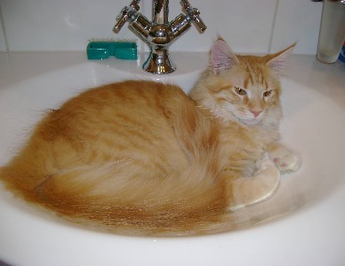 Egbert mit sieben Monaten / seven months old