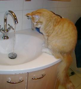 Egbert mit sieben Monaten / seven months old