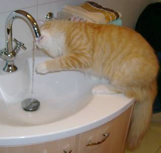 Egbert mit sieben Monaten / seven months old