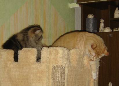 Egbert mit sieben Monaten / seven months old