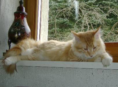 Egbert mit sieben Monaten / seven months old