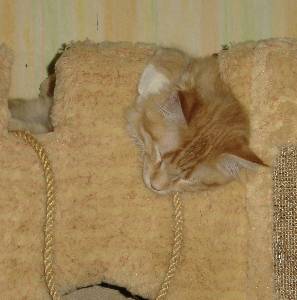 Egbert mit sieben Monaten / seven months old