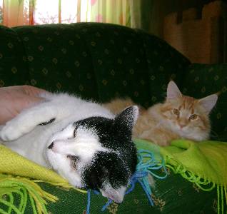 Egbert mit sieben Monaten / seven months old