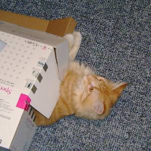 Egbert mit sieben Monaten / seven months old