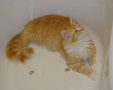 Egbert mit sieben Monaten / seven months old