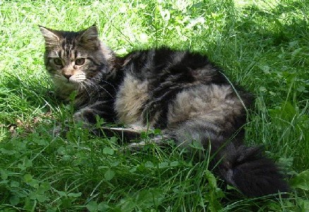 Fee Felicitas mit acht Monaten/ being eight months old