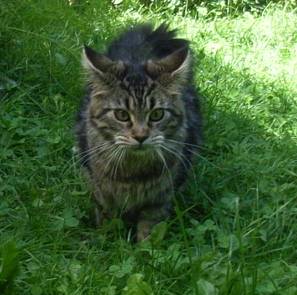 Fee Felicitas mit acht Monaten/ being eight months old