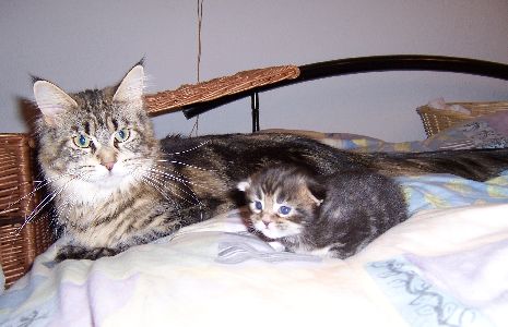 Fee Felicitas mit siebzehn Tagen/ being seventeen days old