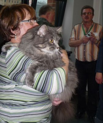 Cyril zum Frühlingsfest der Samtpfoten in Flöha