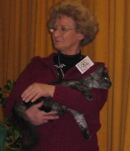 Zardin in Großstöbnitz