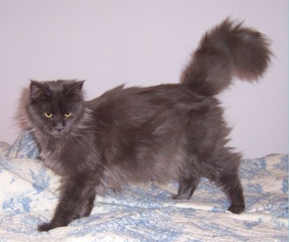 Grace mit einem Jahr /Grace being one year old