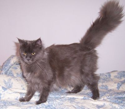 Grace mit einem Jahr /Grace being one year old