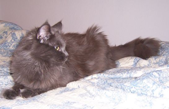 Grace mit einem Jahr /Grace being one year old