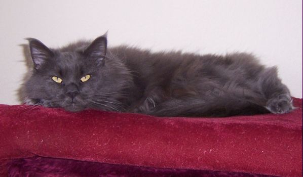 Grace mit einem Jahr und sieben Monaten /Grace being one year and seven months old