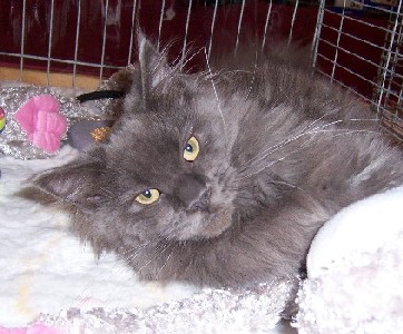 Grace mit sechs Monaten /Grace being six months old