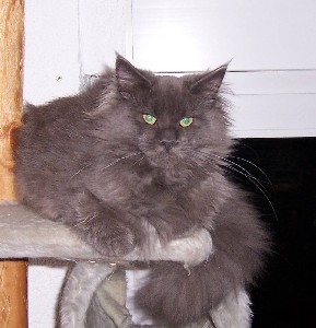 Grace mit sechs Monaten /Grace being six months old