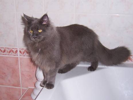 Grace mit sechs Monaten /Grace being six months old