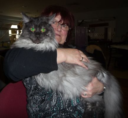 Rasputin in Großstolpen