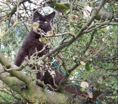 Hypnos mit 6 Monaten / Hypnos 6 months old