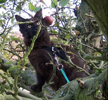 Hypnos mit 6 Monaten / Hypnos 6 months old