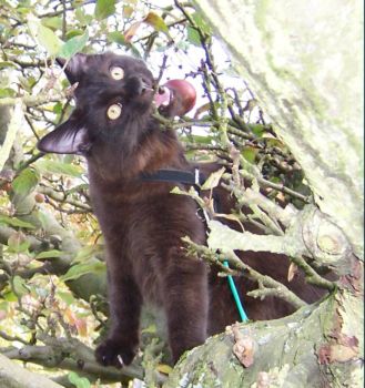 Hypnos mit 6 Monaten / Hypnos 6 months old