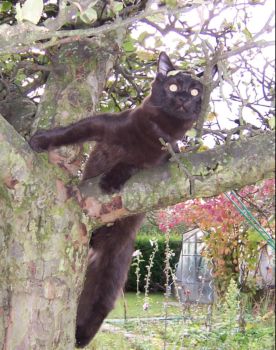 Hypnos mit 6 Monaten / Hypnos 6 months old