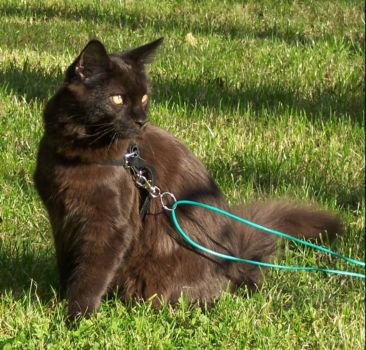 Hypnos mit 6 Monaten / Hypnos 6 months old