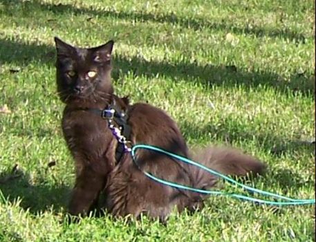 Hypnos mit 6 Monaten / Hypnos 6 months old