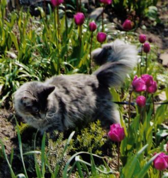 Hurricane mit 1 Jahr / Hurricane 1 year old